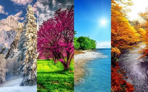 Картинки и фото: Зима весна лето осень