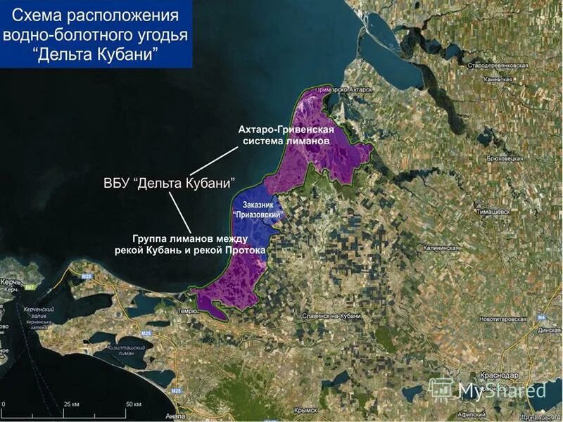 Местоположение воды. Дельта Кубани: Ахтаро-Гривенская группа Лиманов. Дельта реки Кубань. Водно-болотные угодья дельты Кубани. Система Лиманов в дельте реки Кубань.