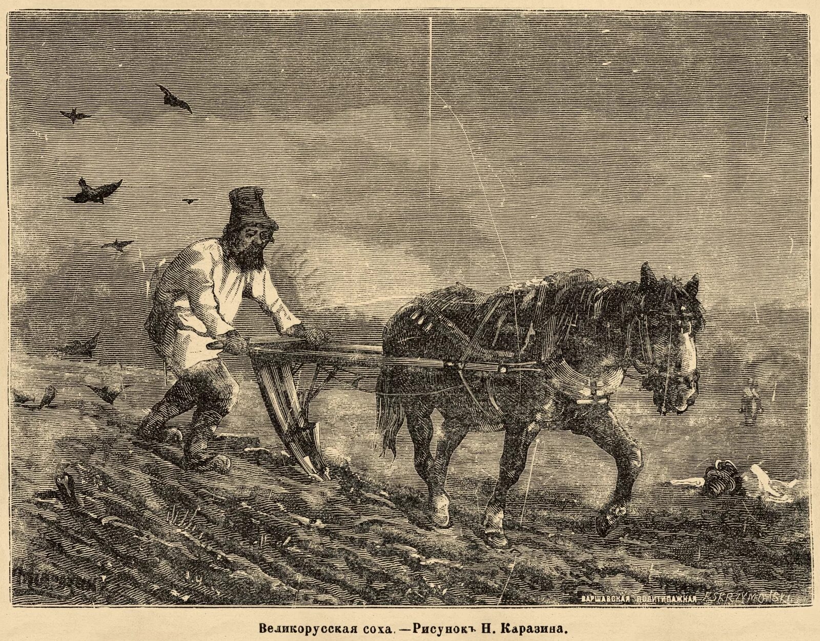 Хлебопашцы при александре. Хлебопашцы при александре