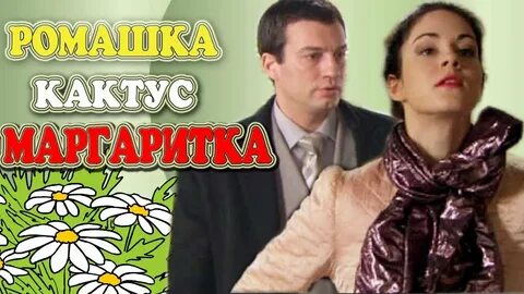 Ромашка кактус маргаритка