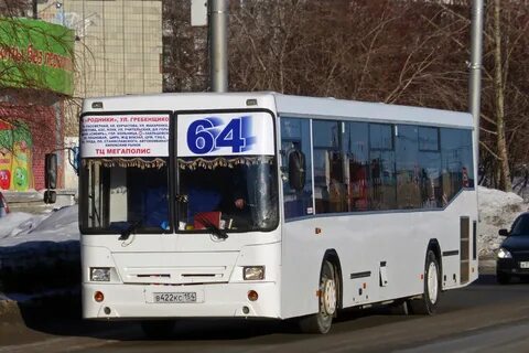 64 автобус новосибирск