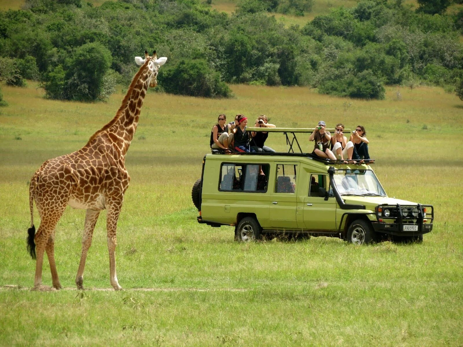Africa safari. Танзания сафари. Танзания Занзибар сафари. Сафари Серенгети + Занзибар -вулкан. Кения сафари парк.