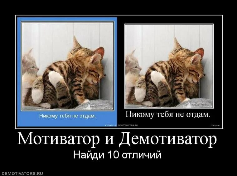 Что такое демотиватор. Мотиваторы и демотиваторы. мотиватор и демотиватор. мотиваторы демотиваторы на разные темы. мотивационные демотиваторы.