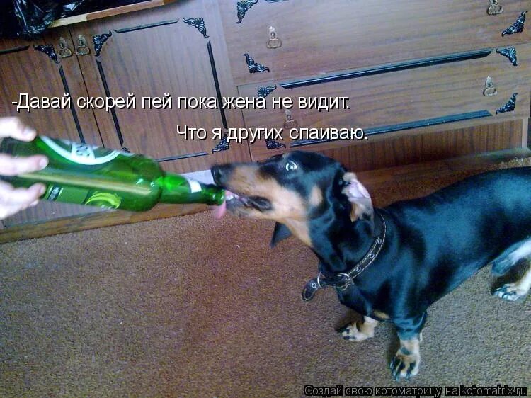 когда бухнем. заходи на огонек. курить я буду а пить не брошу. плакат с рюмкой. скоро буду пить.