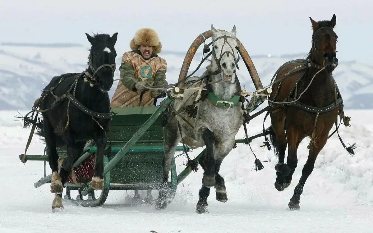 Невдалеке стояла телега запряженная. Тройка рысаков. Лошадь в упряжке. Лошадь с санями. Лошадь запряженная в сани.