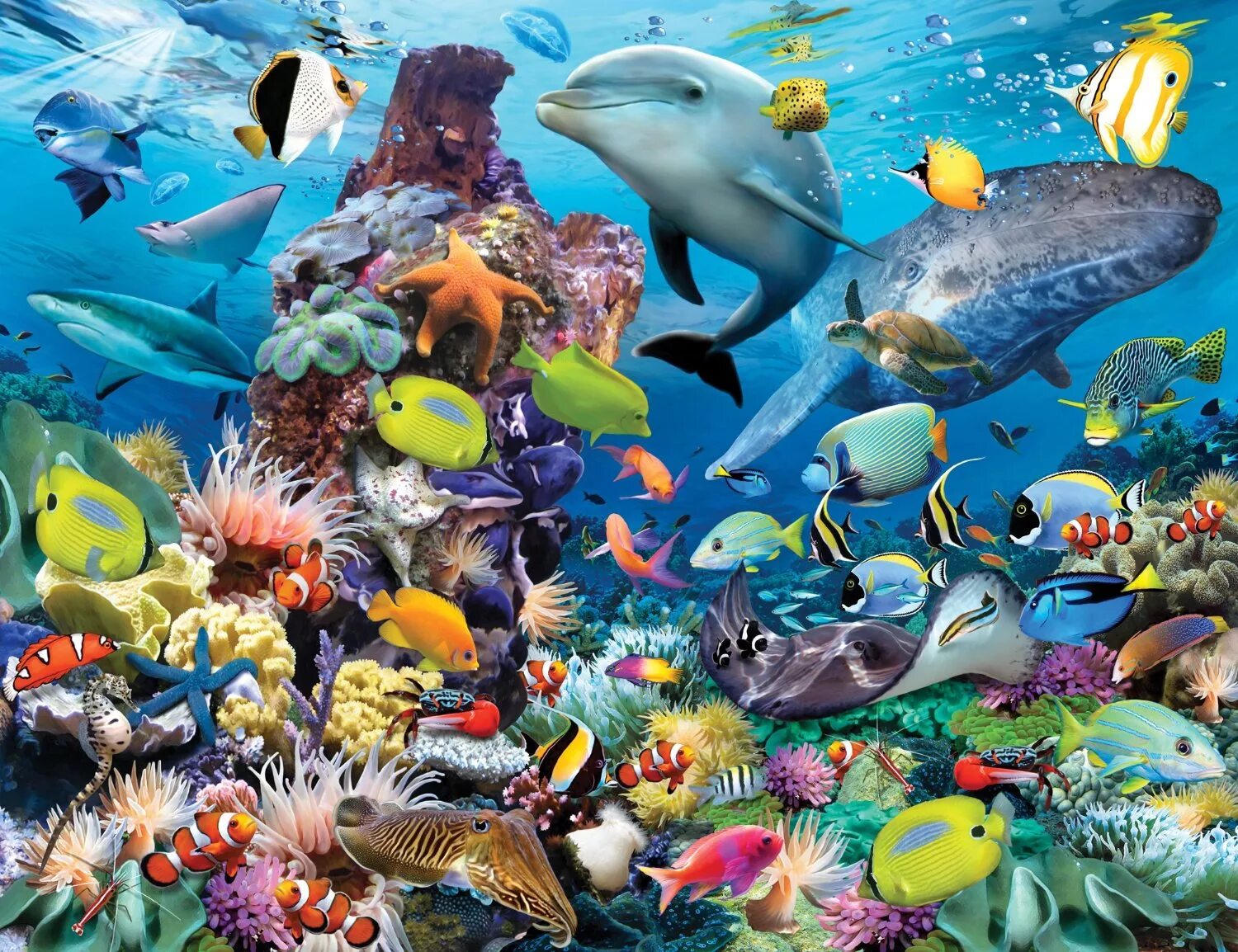 Кто живет на дне морском. Морские животные. Обитатели морей и океанов. Подводные обитатели. Рыбки в море.