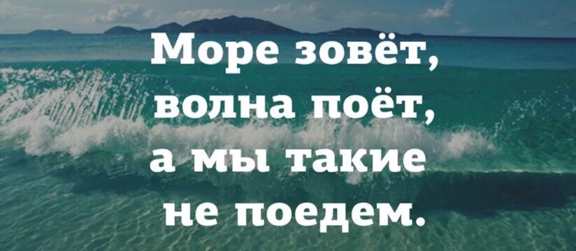 Звери расскажи что моря не