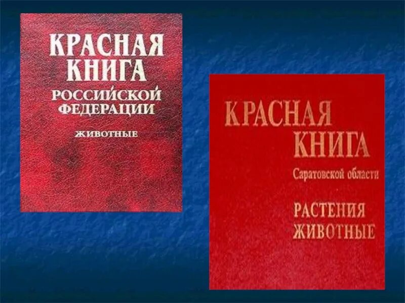 Пиши красная книга. Красная книга. Фотография красной книги. Красная книга обложка. Международная красная книга.