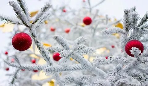 Компьютер месяца декабрь