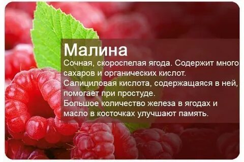 При простуде можно малину
