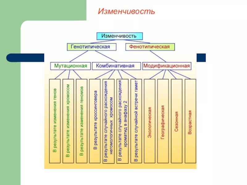 Мутационная и комбинативная изменчивость таблица. Мутационная и модификационная изменчивость таблица. Комбинативная мутационная и модификационная изменчивость. Типы изменчивости биология. Как вы описали характер изменчивости величины пульс