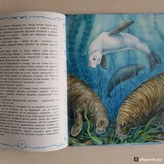 Книга белого кота