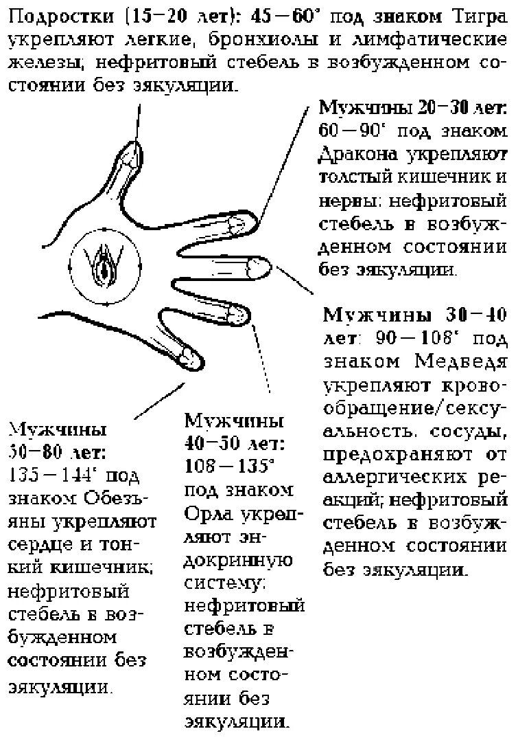 Угол эрекции в зависимости от возраста. Угол члена по возрасту. Угол эрекции в разном возрасте. Угол эрекции от возраста.