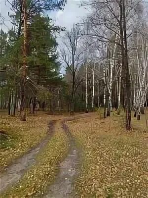 Сбор клюквы в марий эл. Большая сосновка марий эл.