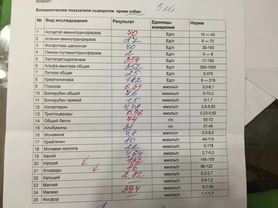 Что входит в биохимию