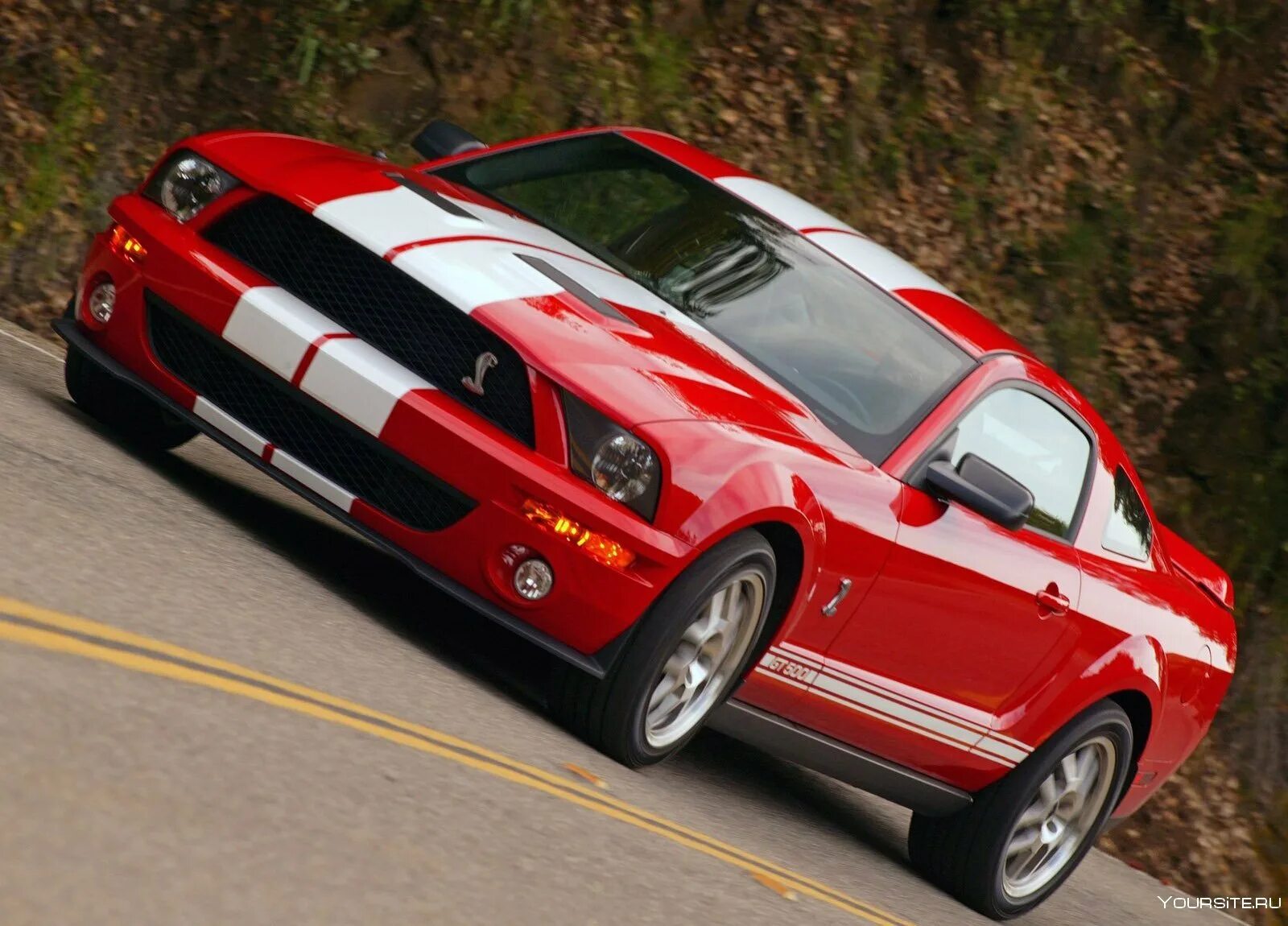 Mustang cobra. Форд Мустанг Шелби Кобра. Форд Мустанг Шелби gt 500. Ford Shelby Cobra gt500. Форд Мустанг ГТ 500 Кобра.