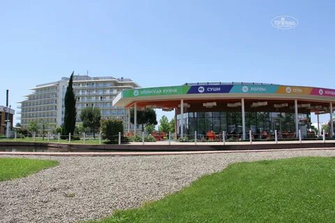 Сочи парк отель аэропорт