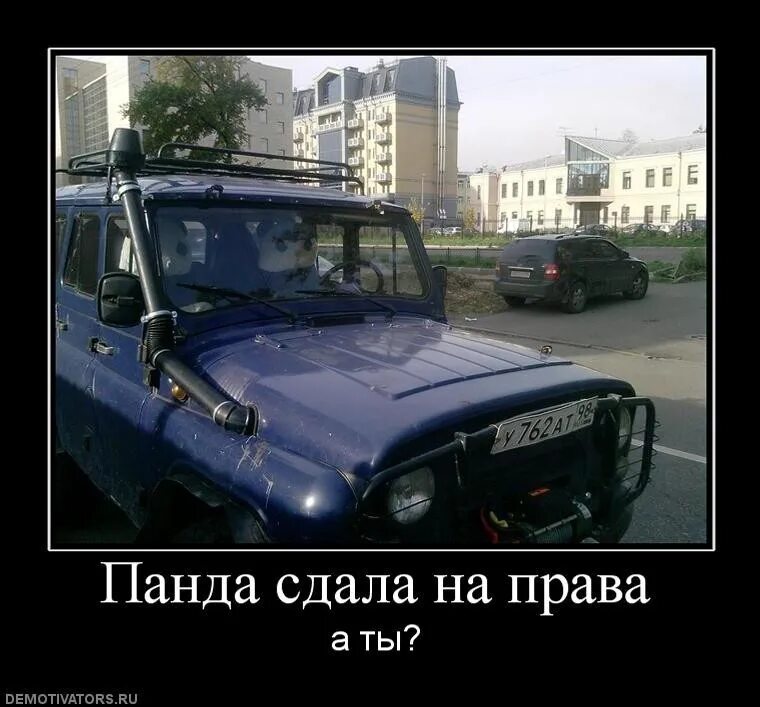 Если я не сдала вождение