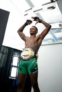 День ufc