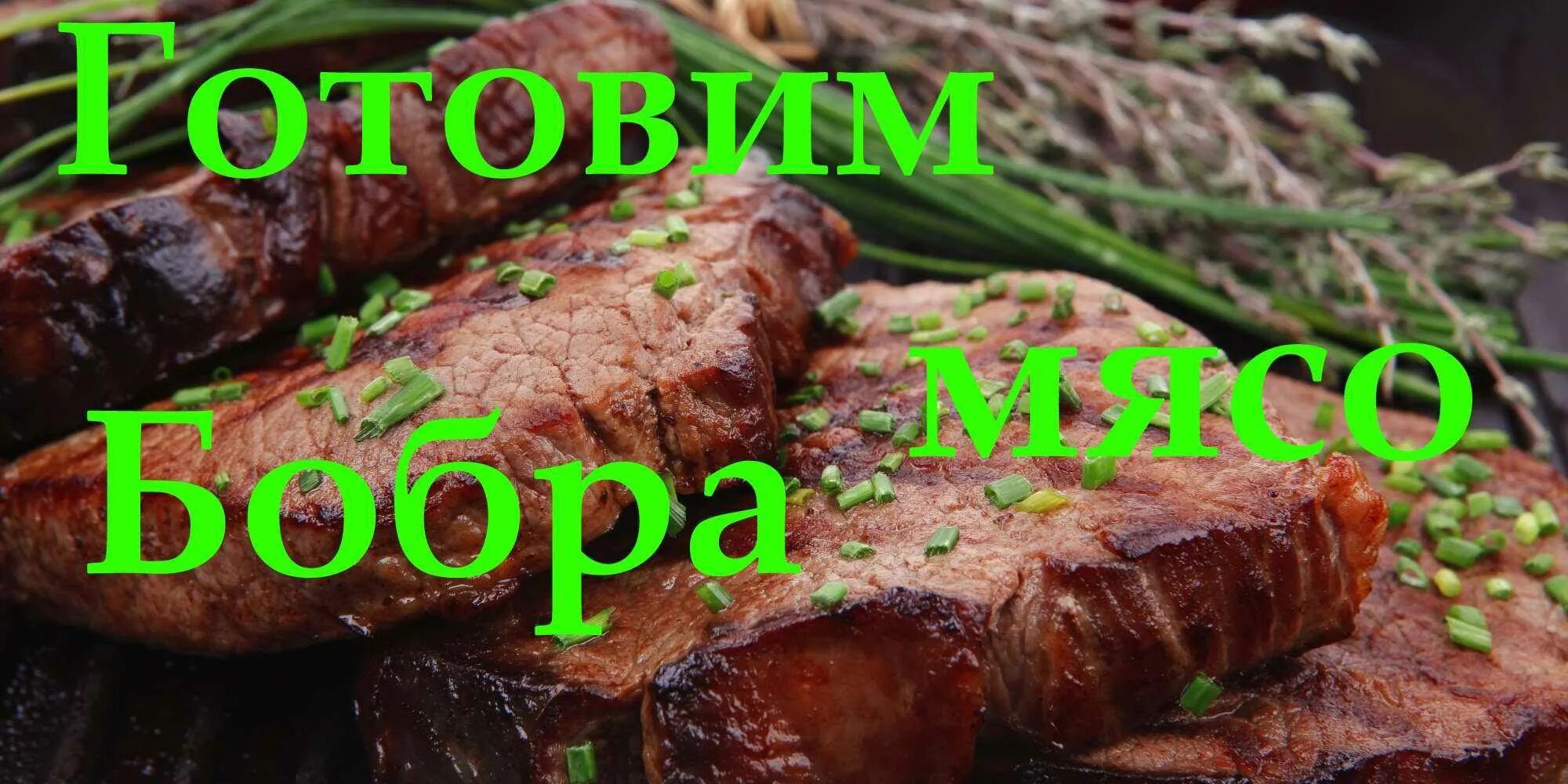 Рецепт приготовления бобра. Мясо бобра приготовление.