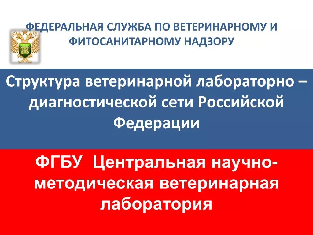 Ветеринарная служба ленинградская область. Ветеринарная служба 1 отзывы. Ветеринарная конференция. Ветеринарная служба 1 отзывы. Ветеринарная служба 1 отзывы.