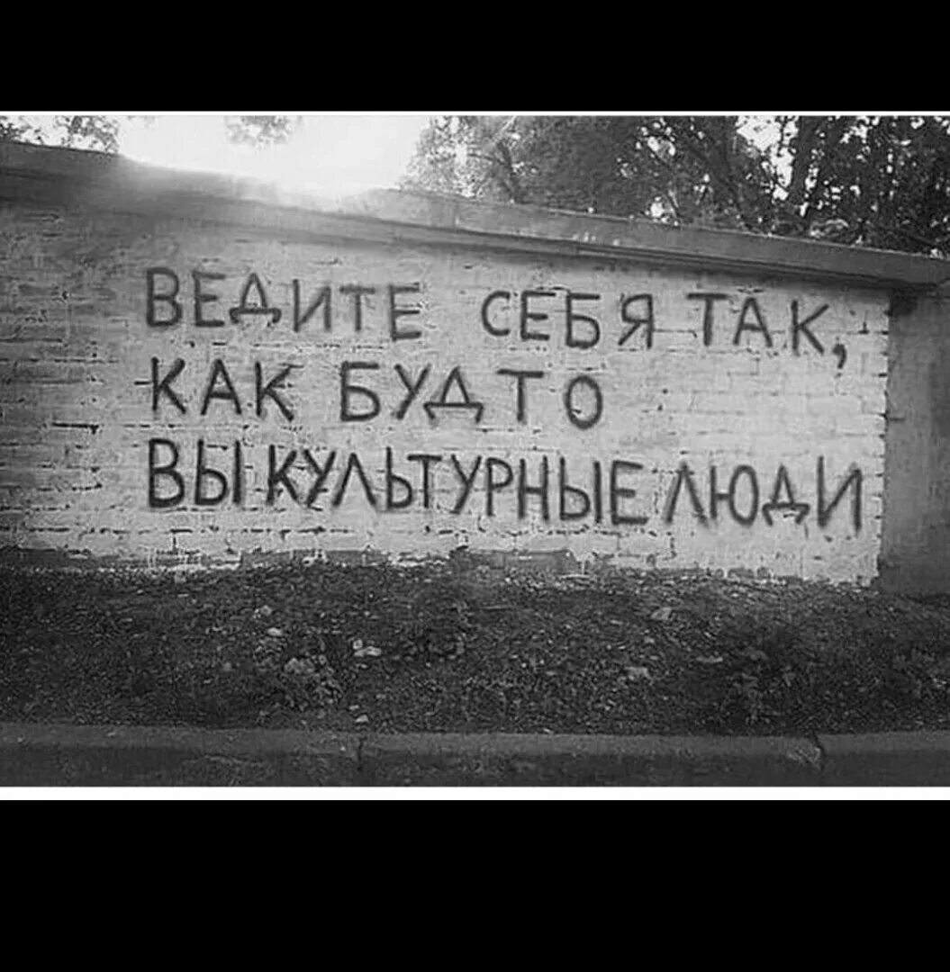 Как будто в другом месте. Прикольные надписи. Смешные надписи на заборах. Прикольные надписи на заборе. Смешные надписи на стенах и заборах.