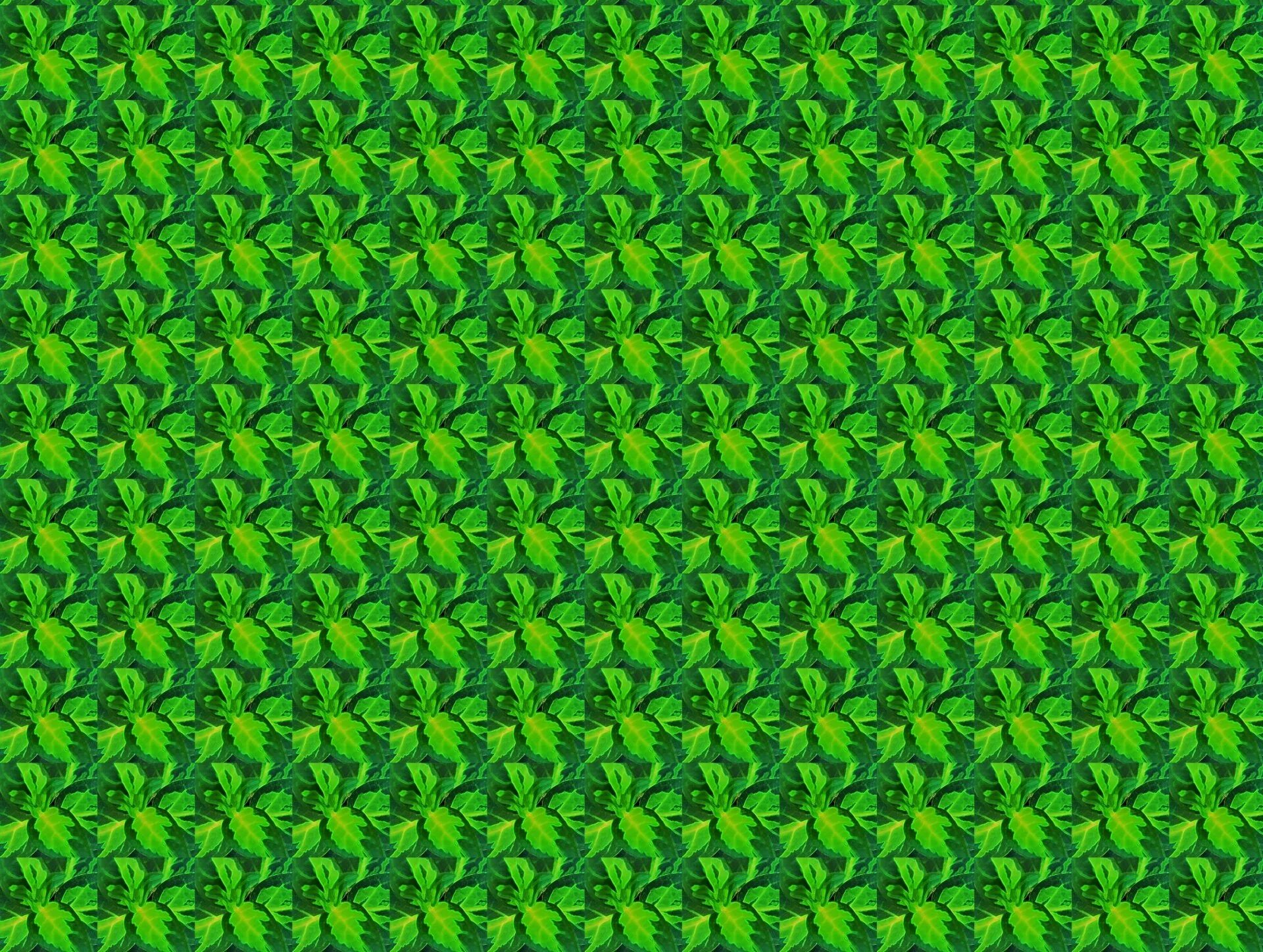 Стереограмма будда. Стереокартинка будда. Идеи для глаз квадробика. Идеи для глаз квадробика. Стереоглаз непоседа.