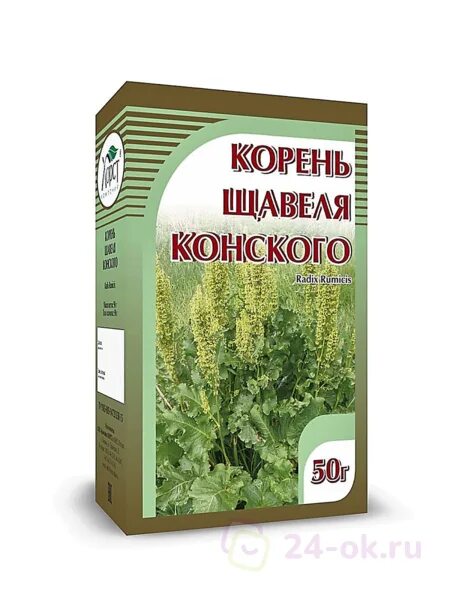 Конский щавель аптечный препарат. Конский щавель аптека. Щавель конский. Растение похожее на конский щавель. Конский щавель с круглыми листьями.