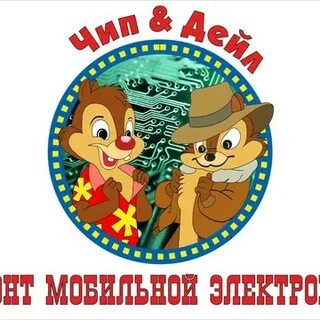 Чип ярославль