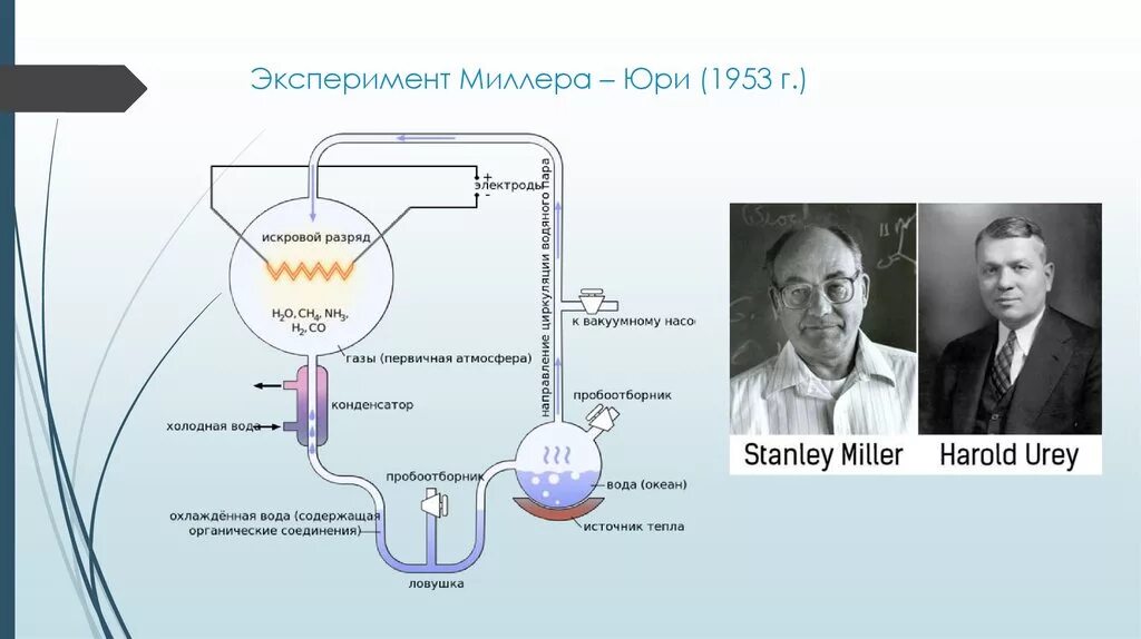 Опыты Миллера и Юри (1953). Стэнли Миллер и Гарольд Юри в 1953 году. Стэнли Миллер и Гарольд Юри опыт. Эксперимент Юри – Миллера (1953 г.) продемонстрировал. В эксперименте исследователь определял изменение химического состава