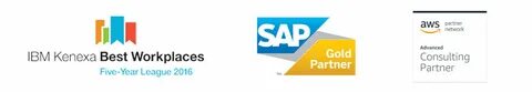 Sap partner