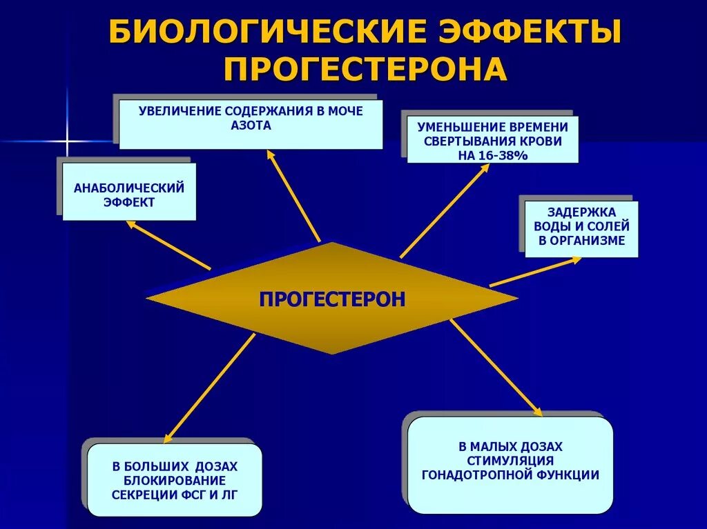 Прогестерон клетки мишени. Прогестерон влияние на молочную железу. Рецепторы эстрогенов. Биологические эффекты прогестерона. Прогестерон механизм действия.