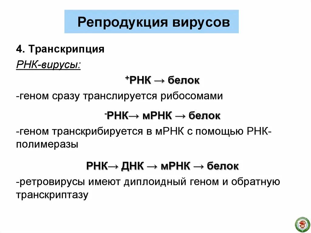 Вирусный транскрипция. Транскрипция вирусов. Транскрипция вирусной РНК. Транскрипция РНК-содержащих вирусов. Вирусы РНК И ДНК транскрипция.