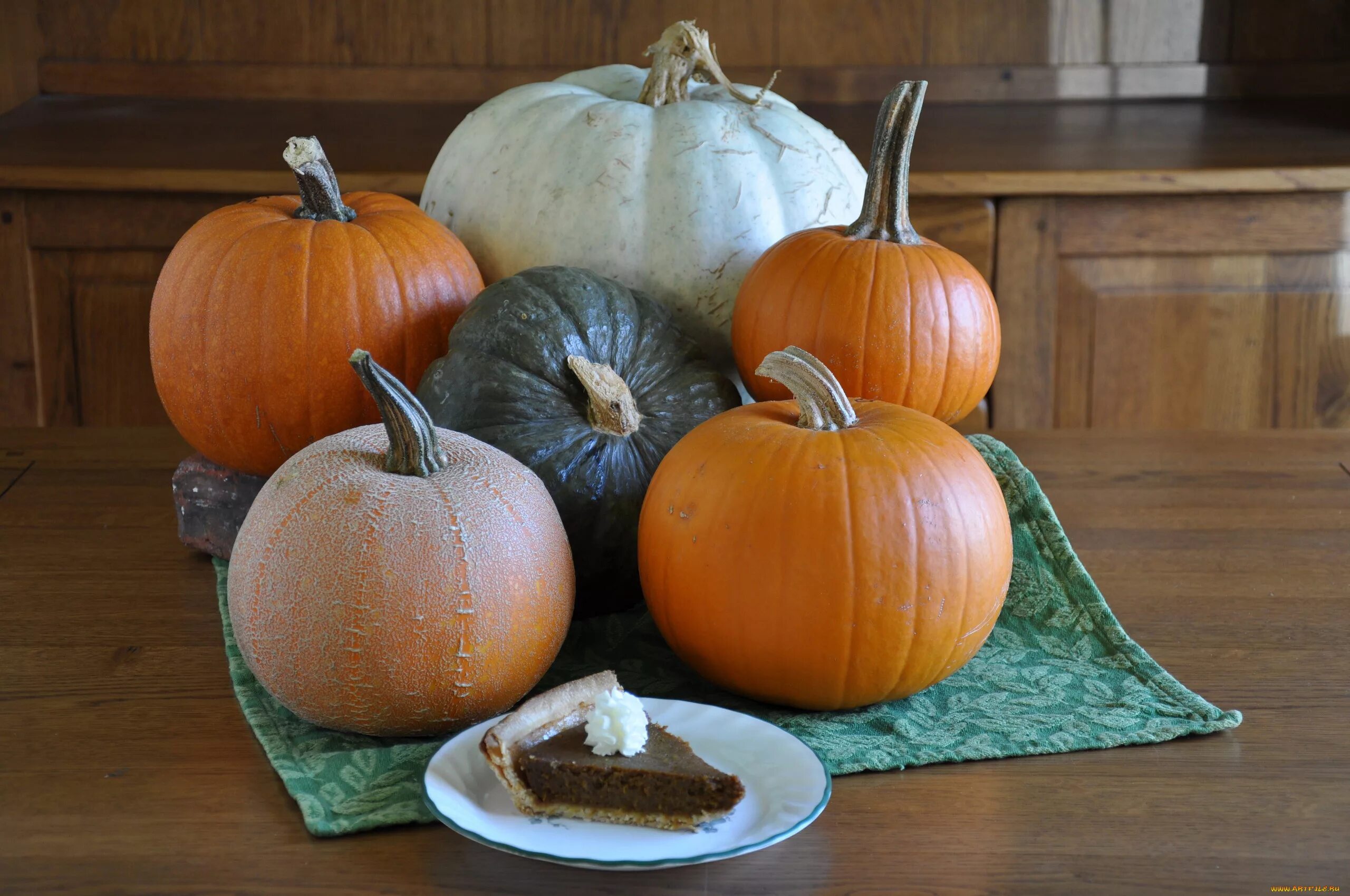 Кормовая тыква. Дикая тыква. Хранение тыквы. Тыква домашнему. Сорта тыквы.