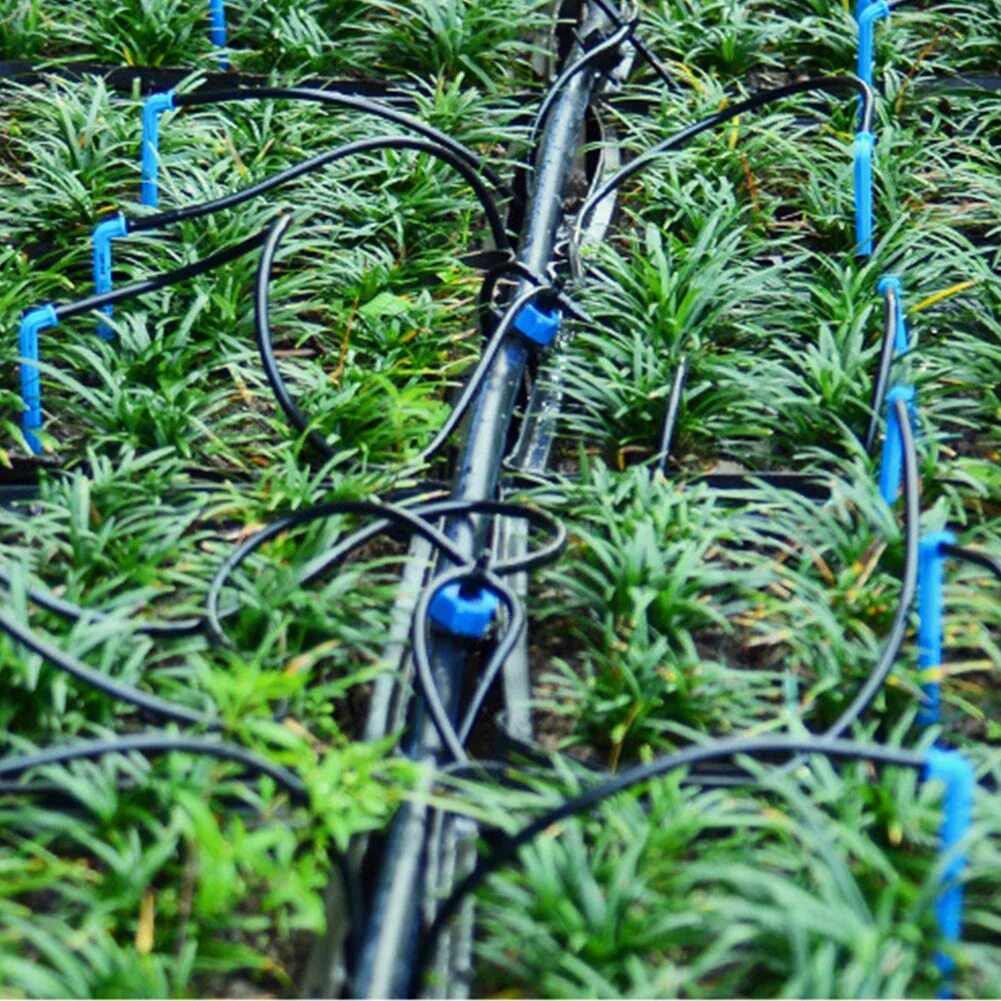 Automatic irrigation. Капельный полив автополив. капельный полив с микротрубкой. капельное орошение drip irrigation fertigation. система капельного полива (drip system).