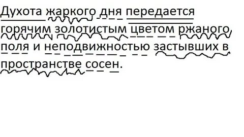 Поли разбор