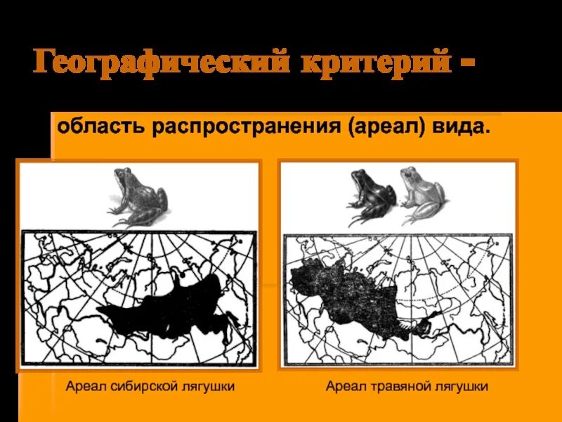 Виды ареалов. Ареал сибирской лягушки. Географический ареал.