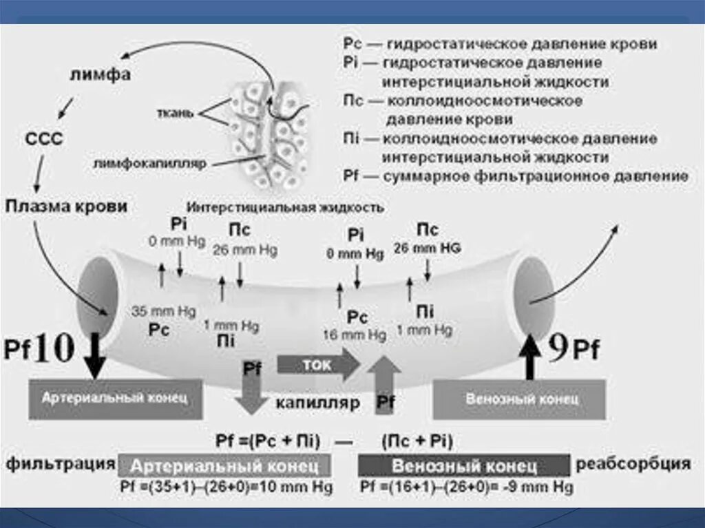 Отклонения онкотического давления. Биологическое значение онкотического давления. Онкотическое и гидростатическое давление крови. Механизм развития пролежней. Давление в области костных выступов.