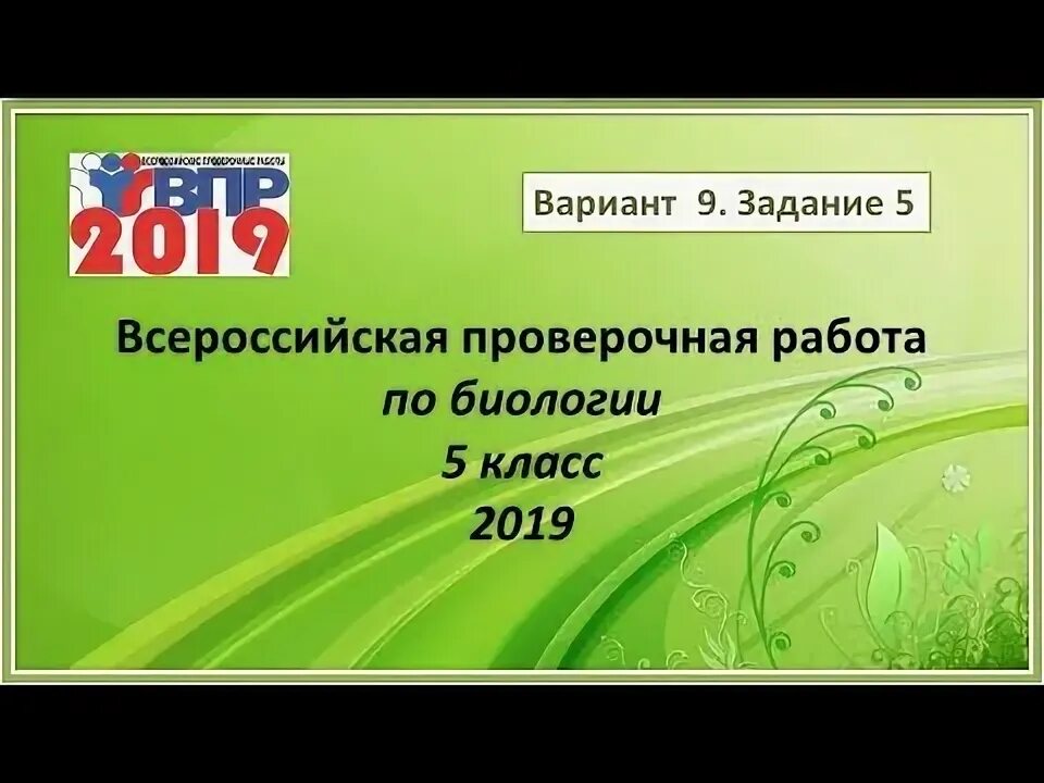 Впр по биологии 5 класс 2019