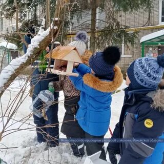 Подкормка птиц зимой
