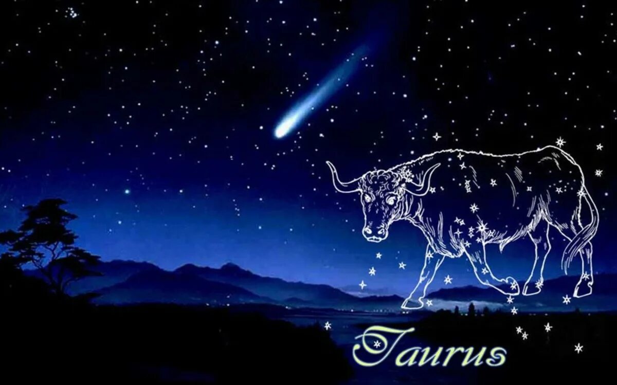 20 день в тельце 2024. Таурус бык Телец Созвездие. Зодиакальное Созвездие Телец. Созвездие коровы. Созвездия знаков зодиака Телец.