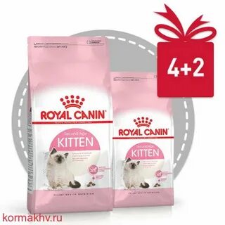 Роял канин котята 2 кг
