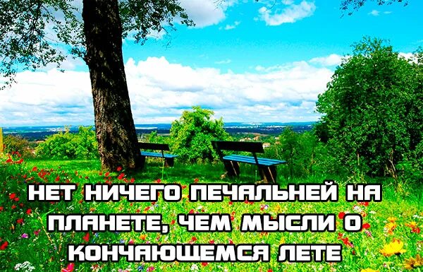 В лето ничего не было. Фразы про лето. Красивые высказывания про лето. Красивые цитаты про лето. Цитаты о лете.