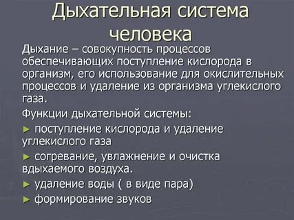 Роль дыхательной системы 3 класс