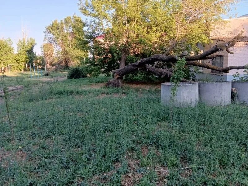 Новости дубовка дубовский базар. Новости дубовка дубовский базар. Дубовский базар последние новости. Дубовский базар. Новости дубовка дубовский базар.