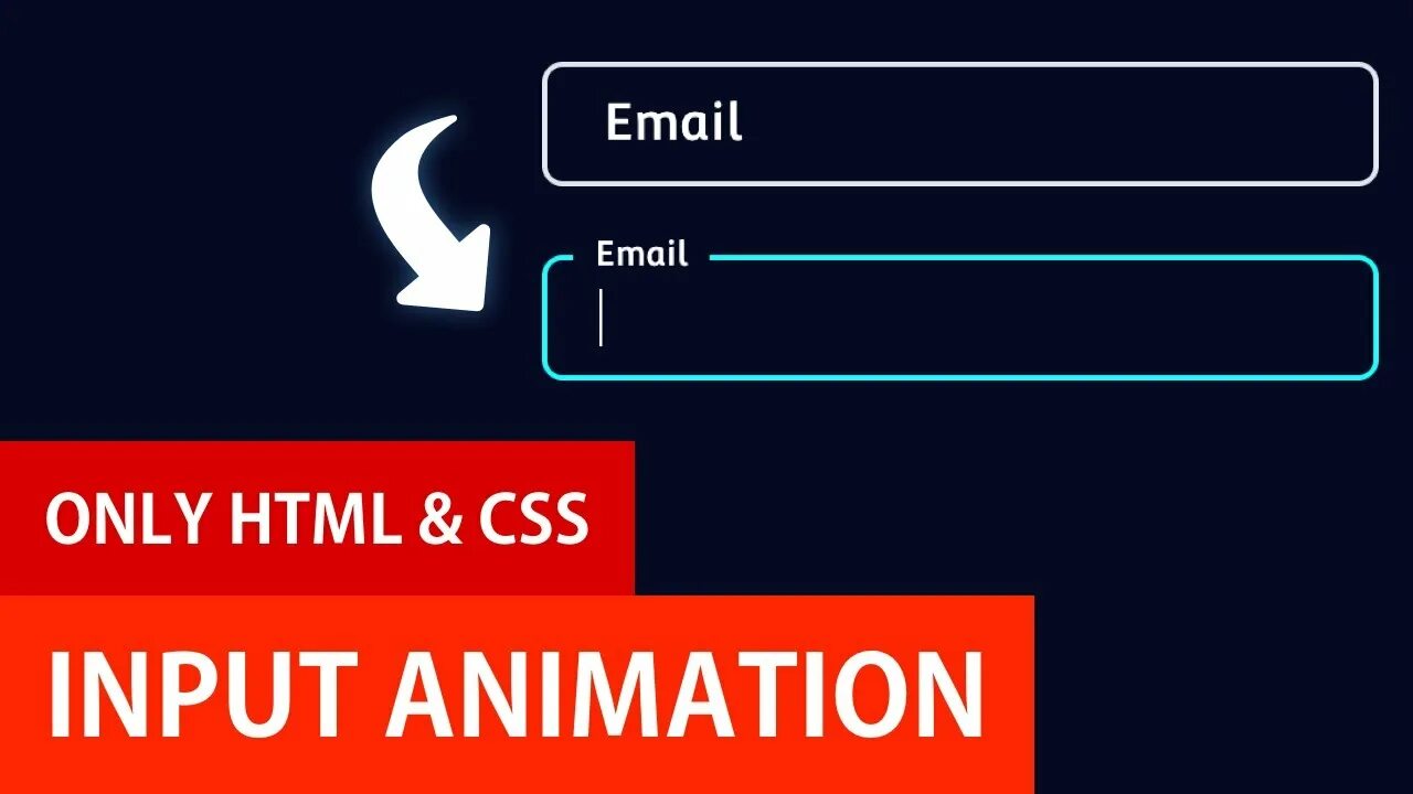 Html label for input. Label input css. input html. input field ui. input animate.