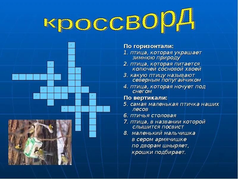 Жизнь на земле кроссворд. Кроссворд. кроссворд про природу. кроссворд на тему природа. кроссовржн а тему природа.