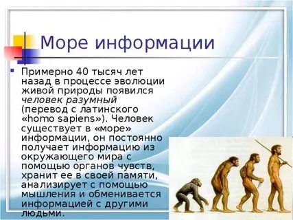 Человек появился примерно