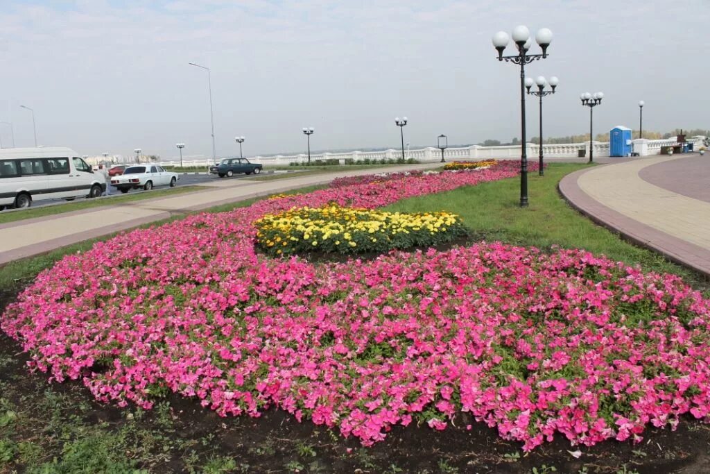 Flowers нижний новгород. Цветники Нижний Новгород. Клумбы Нижнего Новгорода. Цветущий Нижний Новгород. Озеленение Нижний Новгород.