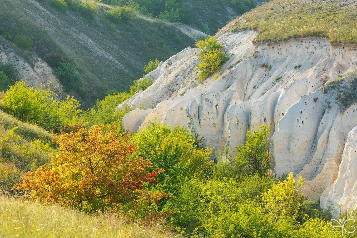 Воронеж холмы. Меловые горы Дивногорье Воронежской. Меловые горы в Воронежской области Дивногорье. Дивногорье каньон. Меловые горы Воронеж.